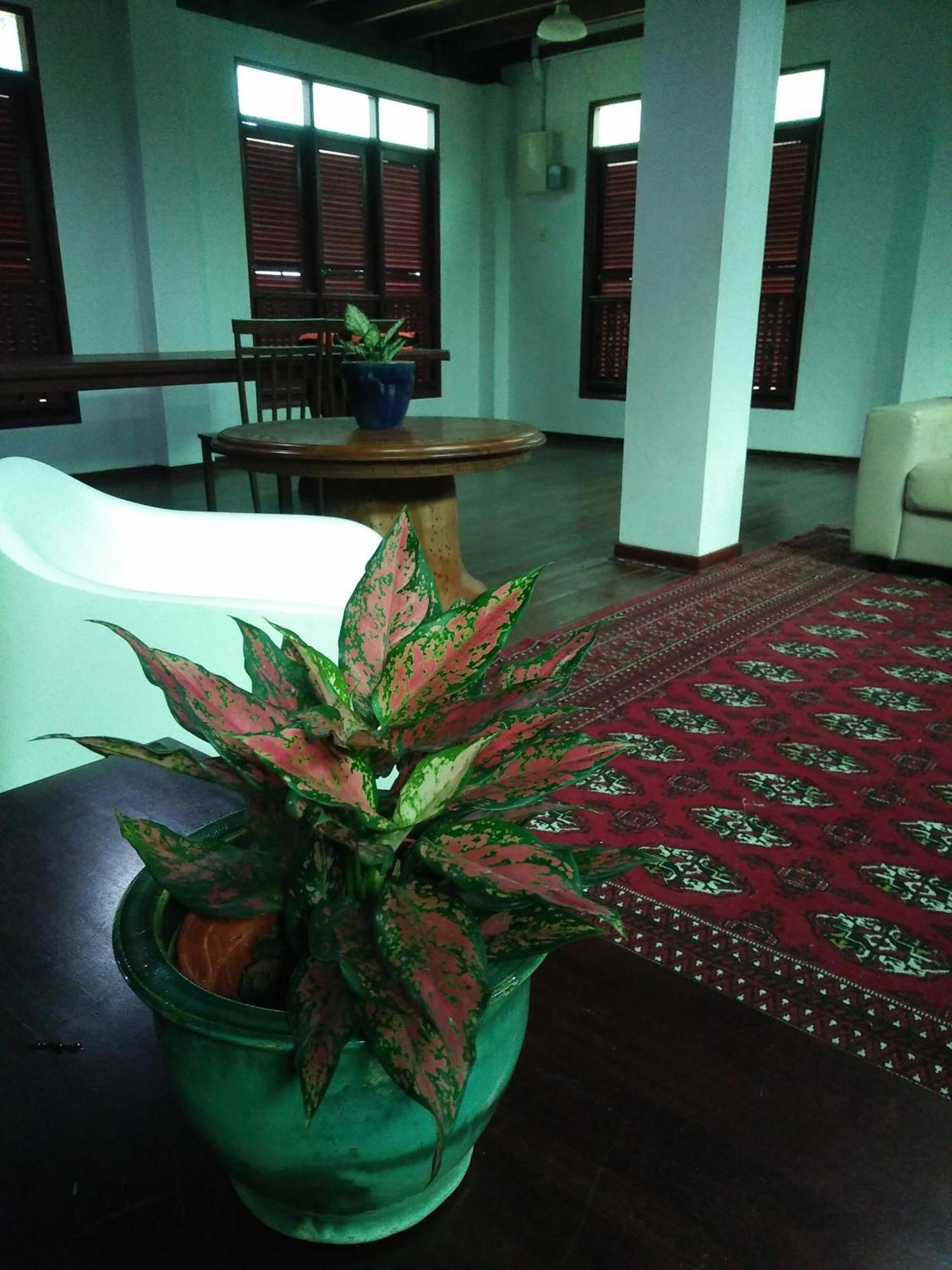 Thesanctuary@Telagapapan Villa Kampung Hulu Caluk Exterior photo